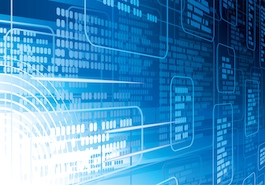 Technical Consulting Services