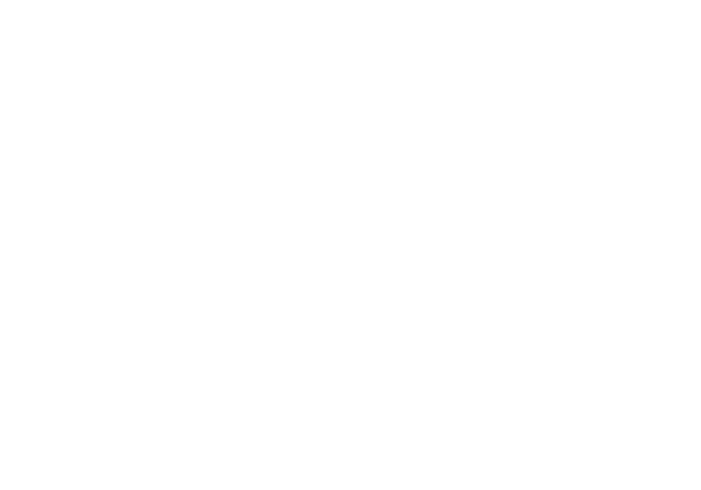 website traffic graphic